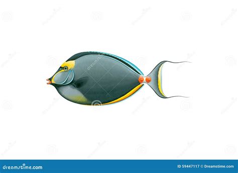 Orange-spine Unicornfish (Naso Lituratus) Isolated On White Background ...