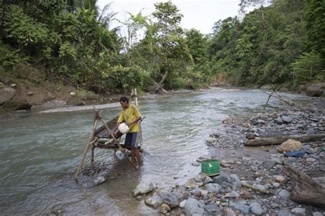 "Alluvial Gold Mining Export Revenue Increases" — News — PNG Business News