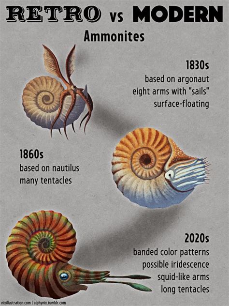 Retro vs Modern #17: Ammonites in 2024 | Prehistoric animals ...