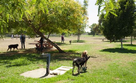 Top 7 Dog Parks in Los Angeles | Dog park, Los angeles parks, Park