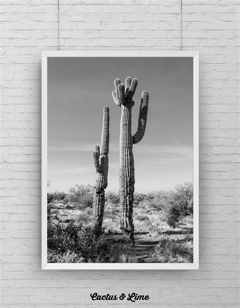 Cactus Print Desert Photography Black and White Cactus Wall | Etsy