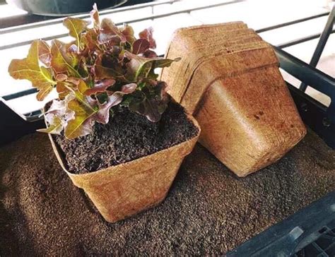 Natural Fiber Biodegradable Flower Pot – Biodegradable and Compostable Pots