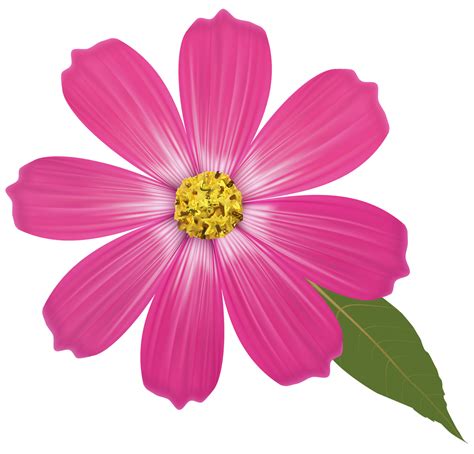 Pink Flower Transparent 14033661 PNG