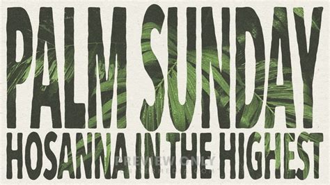 Hosanna - Palm Sunday - Title Graphics | Timber and Pearl