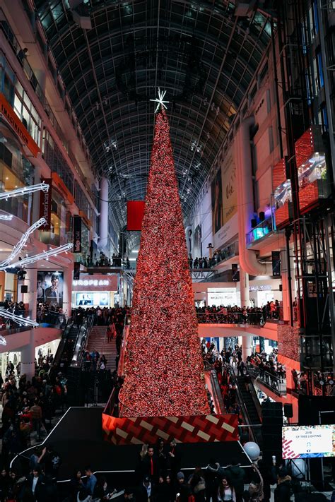 Toronto's 108-foot Christmas Tree was unveiled at the Eaton Centre last ...