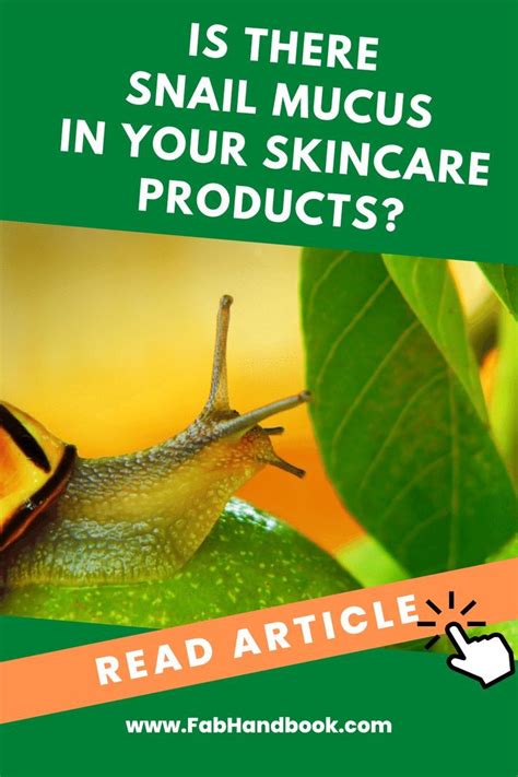 All About Snail Mucin: What it is, What it Does, and How to Use it in ...