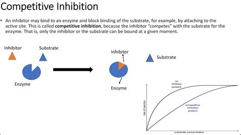 Enzyme Inhibition