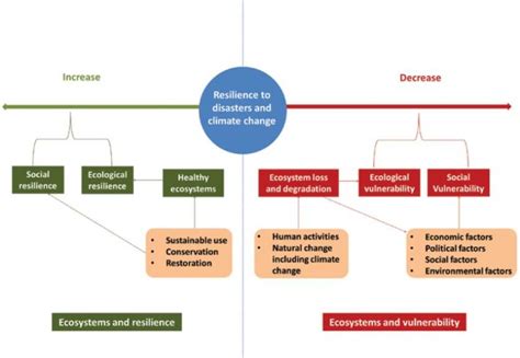 Nature-based solutions to disasters - resource | IUCN