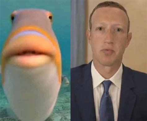 Haha goofy fish man : r/zuckmemes