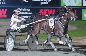 NZ Trotting Cup fields - Harnessbred.com