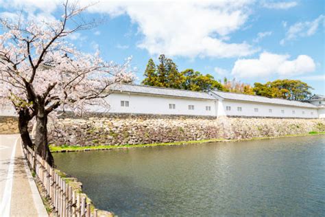 10+ Lake Biwa Museum Stock Photos, Pictures & Royalty-Free Images - iStock