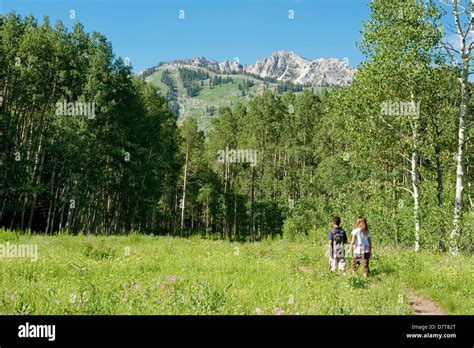 Two Children hiking on trail near Willow Lake, Big Cottonwood Canyon, near Salt Lake City, Utah ...