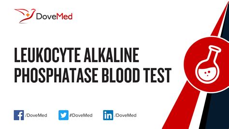 Leukocyte Alkaline Phosphatase Blood Test