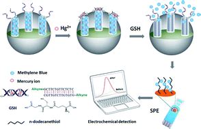 Applications of electrochemical sensors and biosensors based on modified screen-printed ...