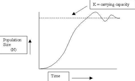 How do you find carrying capacity on a graph? + Example