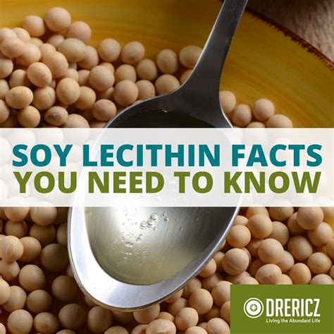 What is Soy Lecithin? Facts, Side-Effects, Benefits and Concerns – BayAreaCannabis