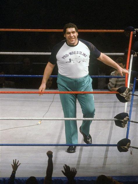 Andre the Giant | Andre the giant, Wrestling superstars, Pro wrestling