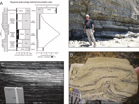 Miocene Monterey Formation diatomite, southern California. (A)... | Download Scientific Diagram