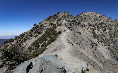 Mount Baldy Summit via Devils Backbone Trail | Outdoor Project