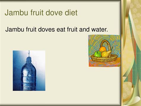 PPT - Fun Facts about Jambu fruit doves PowerPoint Presentation, free download - ID:5555036