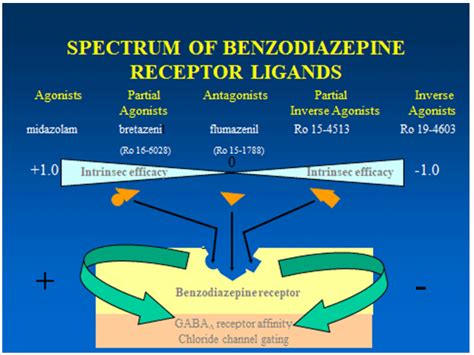 The GABAA receptor and benzodiazepine acceptor site