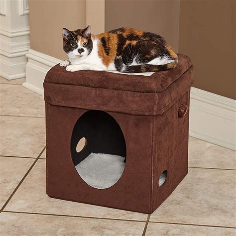 Curious Cat Cube - Naturally For Pets