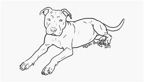 Dog Breed Puppy American Pit Bull Terrier - Outline Of A Pitbull, HD Png Download - kindpng