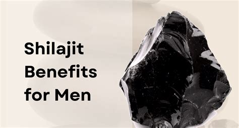 Shilajit Benefits for Men - Puri Brother's Global