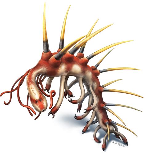 Hallucigenia: Half a billion-year-old worm had legs, spikes and sucker throat lined with teeth ...