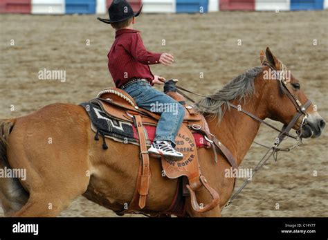 Team Roping, Tie-Down Roping, Calf Roping, Horse, Horses Stock Photo ...