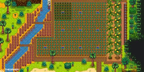 16 Best Stardew Valley Farm Layouts