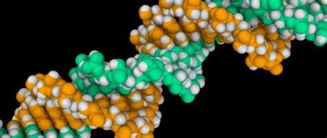 Histone Modifications - What is Epigenetics?