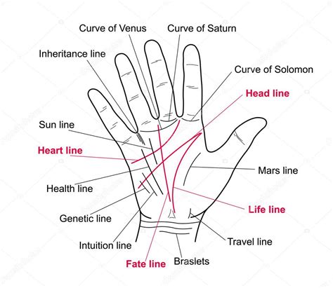 Palmistry Chart Meanings