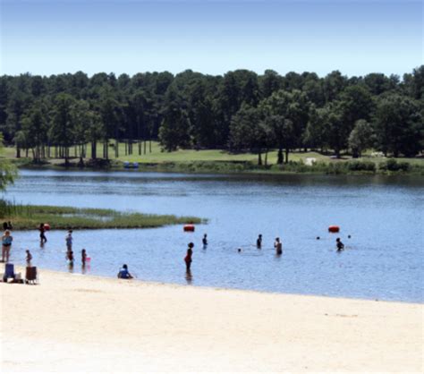 Lake Acworth is a Hidden Gem - Path & Post Real Estate