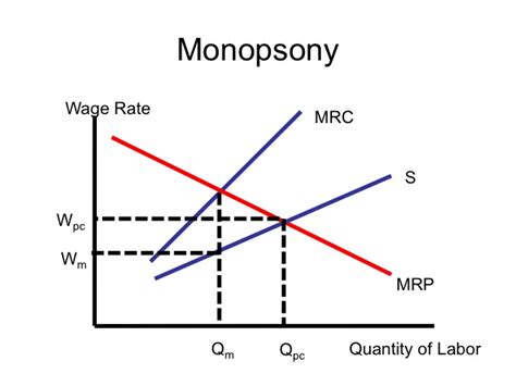 MONOPSONY ~ Education