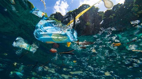 Ocean Plastic: What You Need to Know - EcoWatch