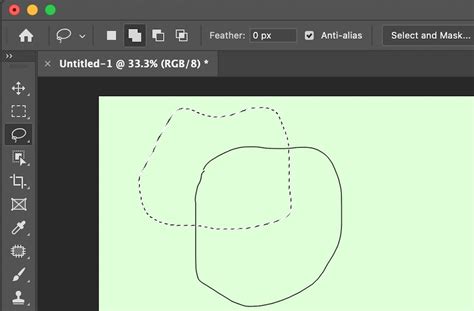 How to Use the Lasso Tool in Photoshop? - GeeksforGeeks