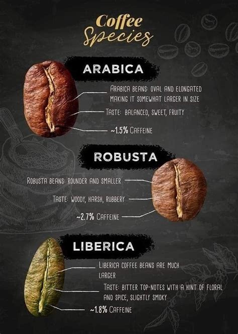 Pin by Norman Wilder on Coffee | Types of coffee beans, Coffee infographic, Coffee recipes