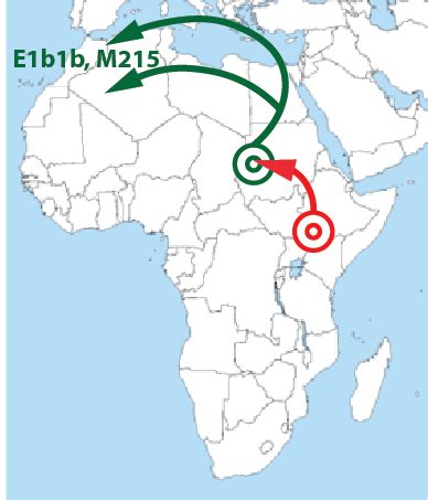 Y-DNA Haplogroup E: E1b1b and E1b1a - Your DNA Guide - Diahan Southard