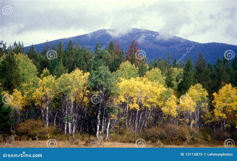 Fall Colors in the Mountains Stock Image - Image of color, nature: 12115875