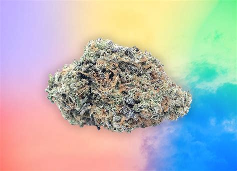 Rainbow Runtz Strain: Marijuana Strain Information