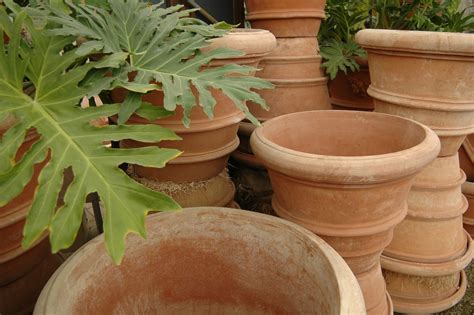 Terra Cotta Planters & Pots - Eye of the Day Garden Design Center