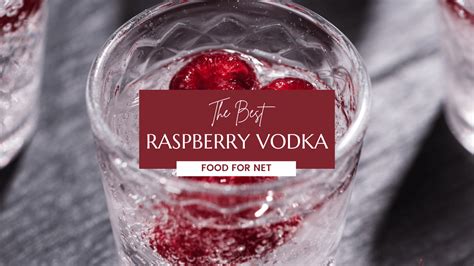 The Best Raspberry Vodka | Food For Net