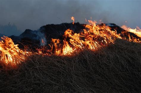 Danger! Danger! What you need to know about burning yard waste - Twin Cities Agenda