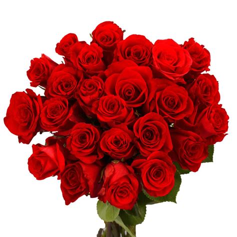 Globalrose Fresh Red Valentine´s Day Roses (50 Stems)-50-red-roses-short - The Home Depot