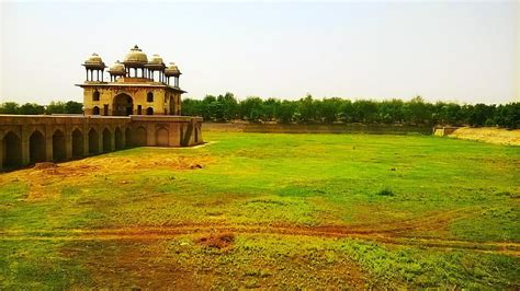 HD wallpaper: grass, tree, narnaul, jal mahal, mohalla purani mandi, haryana | Wallpaper Flare