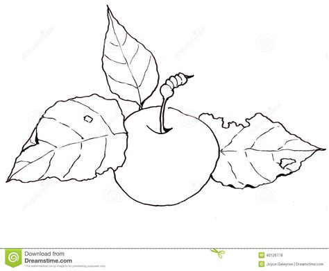 Freehand Clip Art, Drawing of an Apple with Leaves Stock Illustration ...