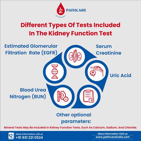 What Is Kidney Function Test? 7 Reasons To Get KFT Test Done - PathCareIndia