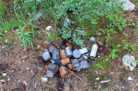 Garbage Thrown in Forest, Empty Bottles and Burnt Cans Scattered Around. Negative Impact Human ...