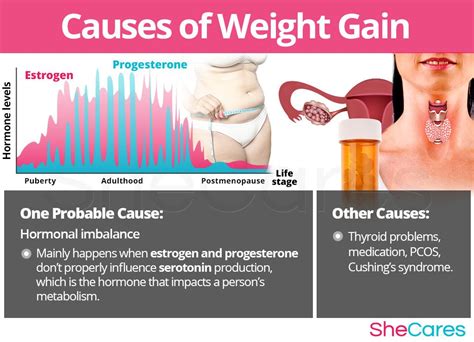 Pin on Hormonal Imbalance Symptoms